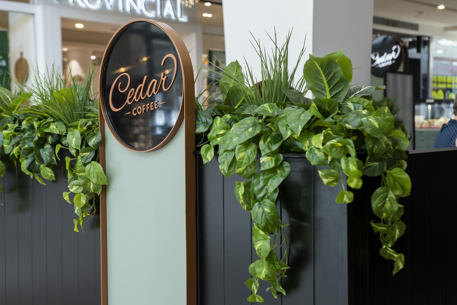 Cedar Coffee café entrance with hanging greenery and illuminated signage in shopping centre